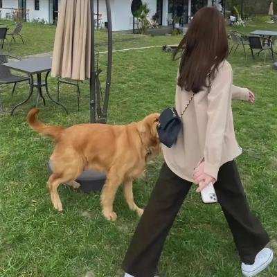 约见波布