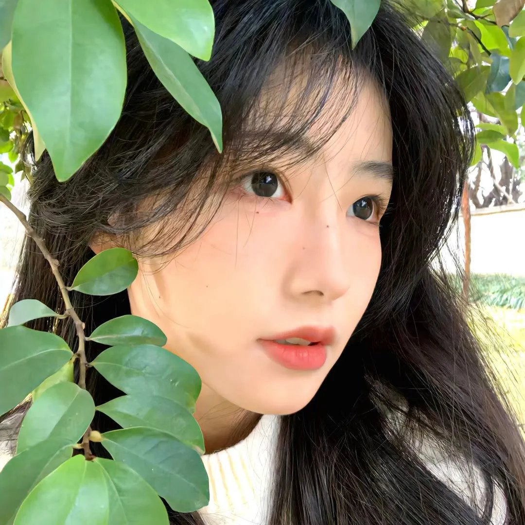 恋恋花颜御捕